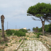 Ancient street at Liybaion