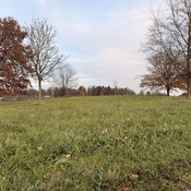 keltischer Grabhügel Hexenbuckele