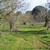 Roman Road as Farm Track