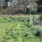 Road as Farm Track