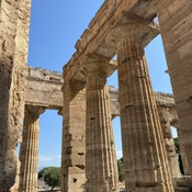 Temple of Poseidon - Paestum