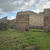 Domus