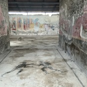 Palaestra