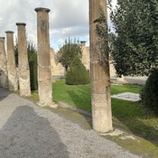 Domus