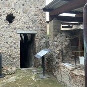 Domus