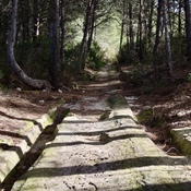 Tracks on the Via Domitia.
