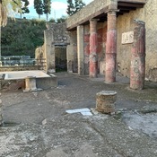 Domus
