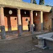 Domus