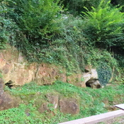 flint mine