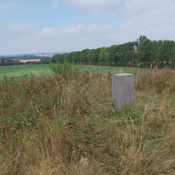 Ingershøj