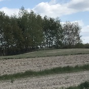 Kików Tumulus (Kurhan)