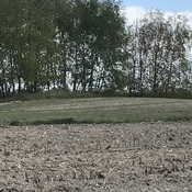Kików Tumulus (Kurhan)