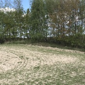 Kików Tumulus (Kurhan)