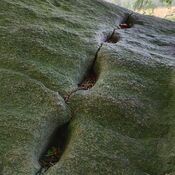 Kroghenlund Runddysse