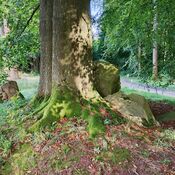 Kroghenlund Runddysse