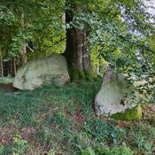 Kroghenlund Runddysse