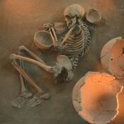 Kurijan skeleton