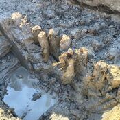 Leidse Romeinse weg in 2026 blootgelegd