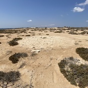 Macellum