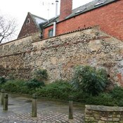 Mint Wall
