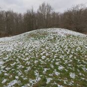 Gammel Hestehave Mound (41179)