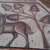 Uqayribat in N Syria