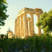 the temple of ZEUS
