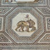 Lion and his caretaker