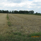 Fundort Villa Rustica Niederambach