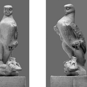 Hellenistic eagles