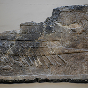 Niniveh, Palace of Sennacherib, Relief of a Phoenician ship