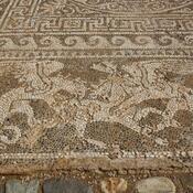 Olynthus mosaic_gybels