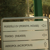 Metropolis