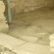 Metropolis - Peristile House