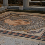 The dolphins mosaic