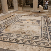 The Dionysos mosaic