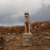 One of the lions