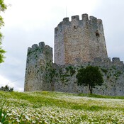 Heraclea Castle