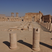 Palmyra Agora