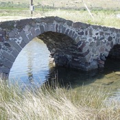 PARAKOILA