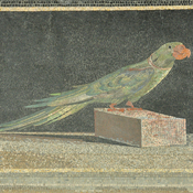Papageien, Pergamon