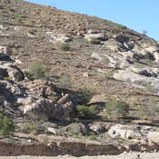 To Petra