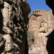 Petra