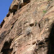 Petra