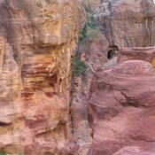 Petra