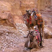 Petra
