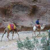 Petra