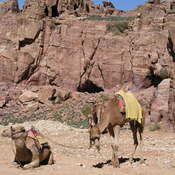 Petra