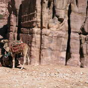 Petra