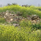 Remains of the ancient  Tabgha
